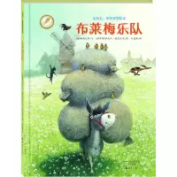 音像布莱梅乐队