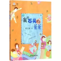 音像我的石头心爸爸秦文君 著