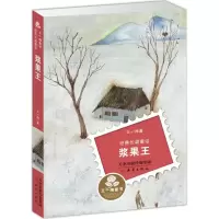 音像浆果王王一梅 著