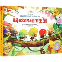 音像好好玩的生命立体书七色王国 编著