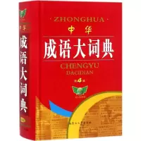音像中华成语大词典博古今 主编