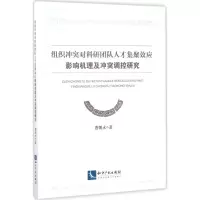 音像组织对科研团队人才集聚效应影响机理及调控研究唐朝永 著