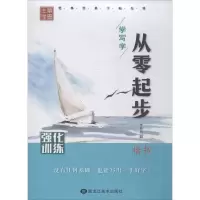 音像从零起步学写字李放鸣 书