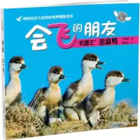 音像