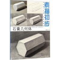 音像素描初步匡鹏智 著