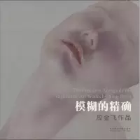 音像模糊的应金飞 著