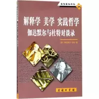 音像解释学 美学 实践哲学