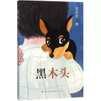 音像黑木头赵丽宏 著