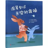 音像流星划过天空的夜晚