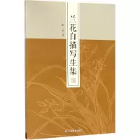 音像兰花白描写生集张赤 著