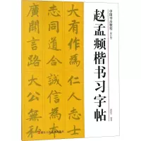 音像赵孟頫楷书习字帖路振平 编著