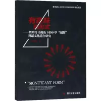 音像有意味的形式海维清 著