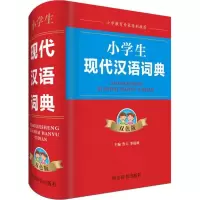 音像小学生现代汉语词典 双色版鲁六,李清树 编
