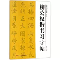 音像柳公权楷书习字帖路振平 编著