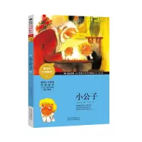 音像小公子(美)弗朗西丝·霍奇森·伯内特