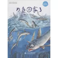 音像刀鱼回家了英娃 著;王光 绘