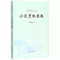 音像小说里的安徽本书编委会 编
