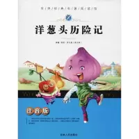 音像洋葱头历险记梓育