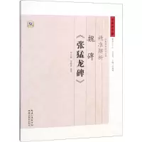 音像精准解析魏碑《张猛龙碑》云扬,张鹏涛 编著