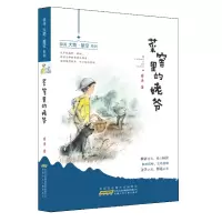 音像薛涛大地·星空系列·菜窖里的姥爷/薛涛薛涛