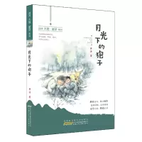 音像薛涛大地·星空系列·月光下的狍子/薛涛薛涛