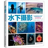 音像水下摄影(英)亚历克斯·马斯塔德(Alex Mustard)