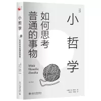 音像小哲学:如何思考普通的事物(捷克)扬·索克尔