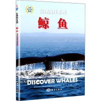 音像鲸鱼英国北方旅行出版公司(North Parade Publishing)