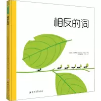 音像相反的词(巴西)小克莱顿(Clayton Junior)