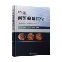 音像中国创面修复图谱贲道锋[等]主编