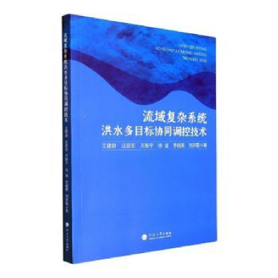 音像流域复杂系统洪水多目标协同调控技术王建群[等]著
