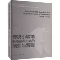 音像传统小城镇聚落空间形态的演变与营建林岩