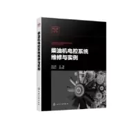 音像柴油机电控系统维与实吴文琳,林瑞玉