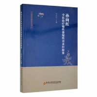音像孙向红中医治疗慢萎缩胃炎经验集孙向红主编