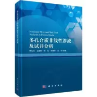 音像多孔介质非线渗流及试井分析傅礼兵[等]编著