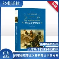 音像钢铁是怎样炼成的(苏)尼·奥斯特洛夫斯基