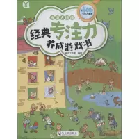音像经典专注力养成游戏书 视觉大挑战桃乐工作室
