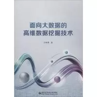音像面向大数据的高维数据挖掘技术王和勇