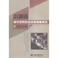 音像小城镇城市空间形态控制策略研究与实分析陈萍著