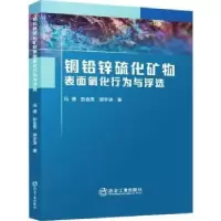 音像铜铅锌硫化矿物表面氧化行为与浮选冯博,彭金秀,郭宇涛著
