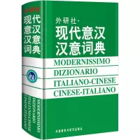音像现代意汉汉意词典王焕宝等