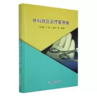 音像外科综合治疗新思维丁志刚,王强,丁嘉宁编著