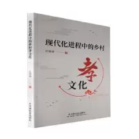 音像现代化进程中的乡村孝文化汪倩倩著