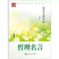 音像笔尖下的中国 文学精华 哲理名言 楷书 升级版李放鸣