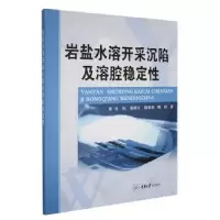音像岩盐水溶开采沉陷及溶腔稳定任松[等]著