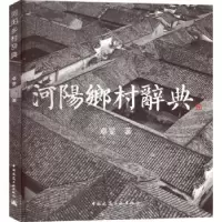 音像河阳乡村辞典卓旻