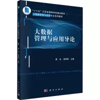音像大数据管理与应用导论曹杰,李树青