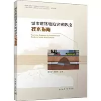 音像城市道路塌陷灾害防控技术指南安关峰 胡群芳