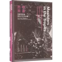 音像热带风暴:印度尼西亚现当代艺术叙事清华大学艺术博物馆 编