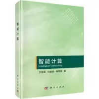 音像智能计算王俊丽,闫春钢,蒋昌俊著